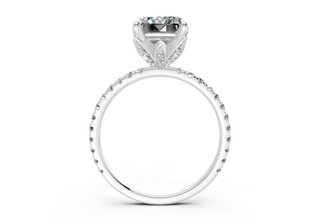 Amaryllis Pave 1.8mm Enagaement Ring