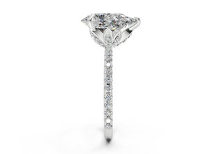 Amaryllis Pave 1.8mm Enagaement Ring