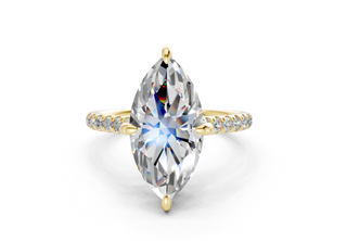 Petunia Pave 2mm Enagaement Ring