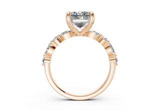 Zania Accent 2mm Enagaement Ring