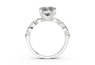 Zania Accent 2mm Enagaement Ring