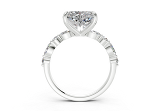 Zania Accent 2mm Enagaement Ring