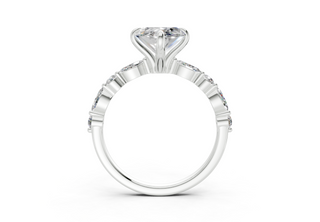 Zania Accent 2mm Enagaement Ring