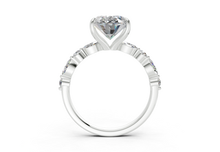 Zania Accent 2mm Enagaement Ring