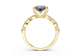 Zania Accent 2mm Enagaement Ring