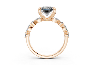 Zania Accent 2mm Enagaement Ring