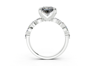 Zania Accent 2mm Enagaement Ring