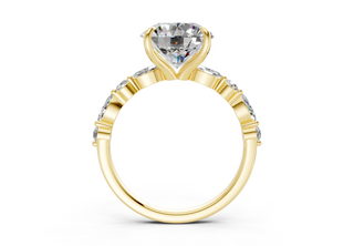 Zania Accent 2mm Enagaement Ring