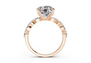 Zania Accent 2mm Enagaement Ring