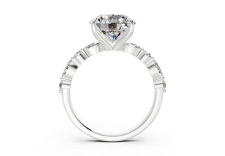 Zania Accent 2mm Enagaement Ring